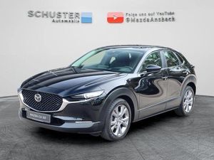 MAZDA-CX-30-Selection 150 PS BOSE/360° Kamera/Premium-,Veicoli incidentati