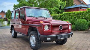 MERCEDES-BENZ-G 250-250GD lang! "1 of 31" wunderschön! nur 70000 km,Gebrauchtwagen