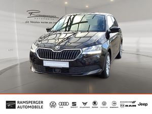 SKODA-Fabia-Combi 10 TSI Ambition GRA Klima Navi PDC,Auto usate