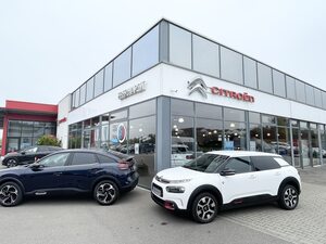 CITROEN-C4 Cactus-Pure Tech 110 Feel,Vehículo de ocasión