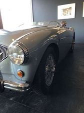 Austin-Healey