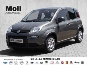 Fiat-Panda-Hybrid Tech Paket, Radio, Klima, Multifunktion,Probna vozila