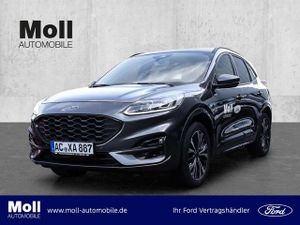 Ford Kuga ST-Line X  2.0 4x4 AHK FAP Techno Styling Winter 1