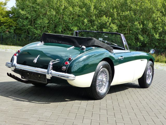 AUSTIN HEALEY Andere Austin-Healey 3000 MK II