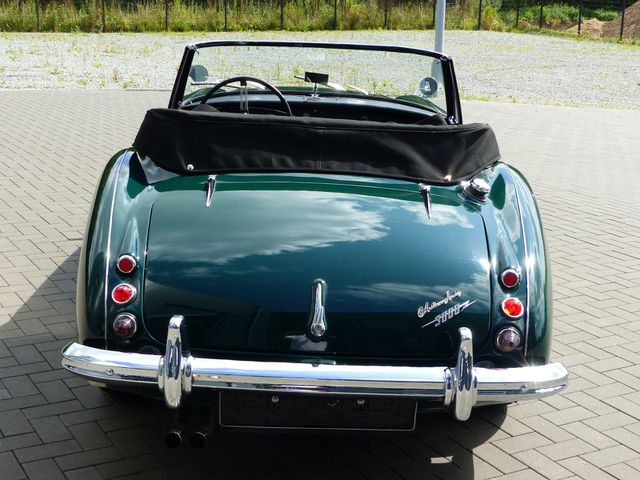 AUSTIN HEALEY Andere Austin-Healey 3000 MK II