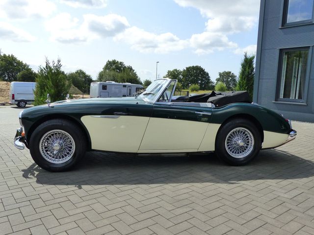 AUSTIN HEALEY Andere Austin-Healey 3000 MK II