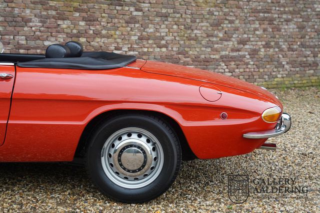 ALFA ROMEO Spider 1750 Iniezione Duetto Beloved 1750 Inject