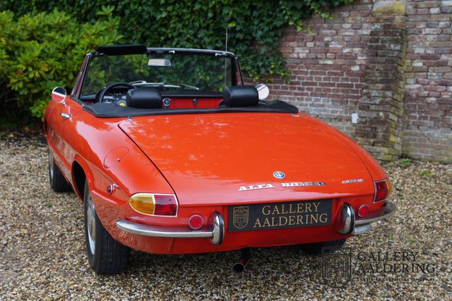 ALFA ROMEO Spider