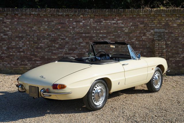 ALFA ROMEO Spider Duetto 1600 Restored condition, &quot;Avorio&quot;