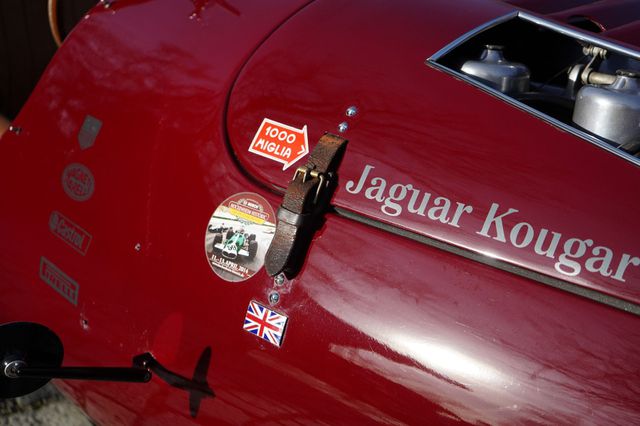 JAGUAR Andere Kougar Sports Roadster, Werkswagen