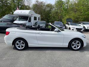 BMW 218 2 Cabrio  i Advantage/1.HAND/LEDER/KAMERA/LED