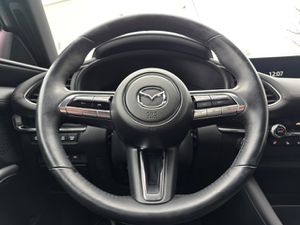 MAZDA 3 SKYACTIV-X M-Hybrid Edition 100 ACC 360 HeadUp Bose Navi