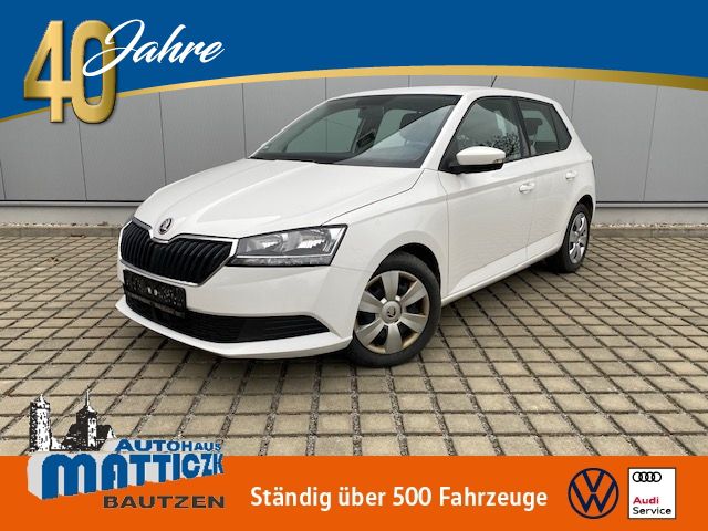 SKODA Fabia 1.0 TSI Ambition INFOTAUNMENT-PAKET/NAVI/SOUND-PAKET/GRA/KLIMAANLAGE/TEL.-VORB.