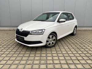 SKODA Fabia 1.0 TSI Ambition INFOTAUNMENT-PAKET/NAVI/SOUND-PAKET/GRA/KLIMAANLAGE/TEL.-VORB.