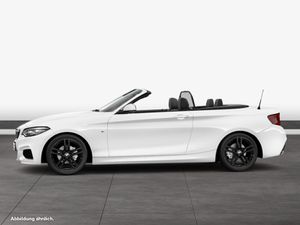 BMW 218i Cabrio M Sportpaket HK HiFi DAB Navi Bus.