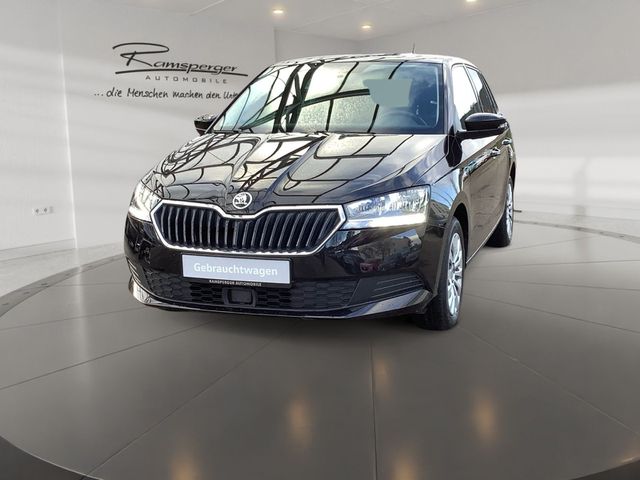 SKODA Fabia Combi 1.0 TSI Ambition GRA Klima Navi PDC