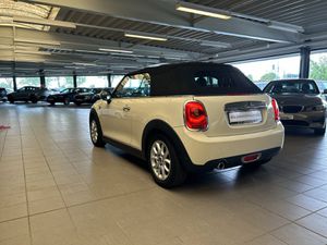 MINI Cooper D Cabrio Pepper Klimaaut. Shz PDC