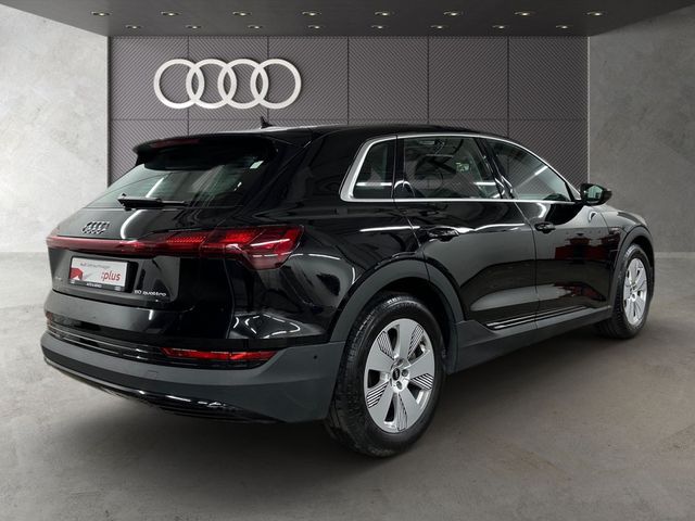 AUDI e-tron 50 quattro basis 230 KW