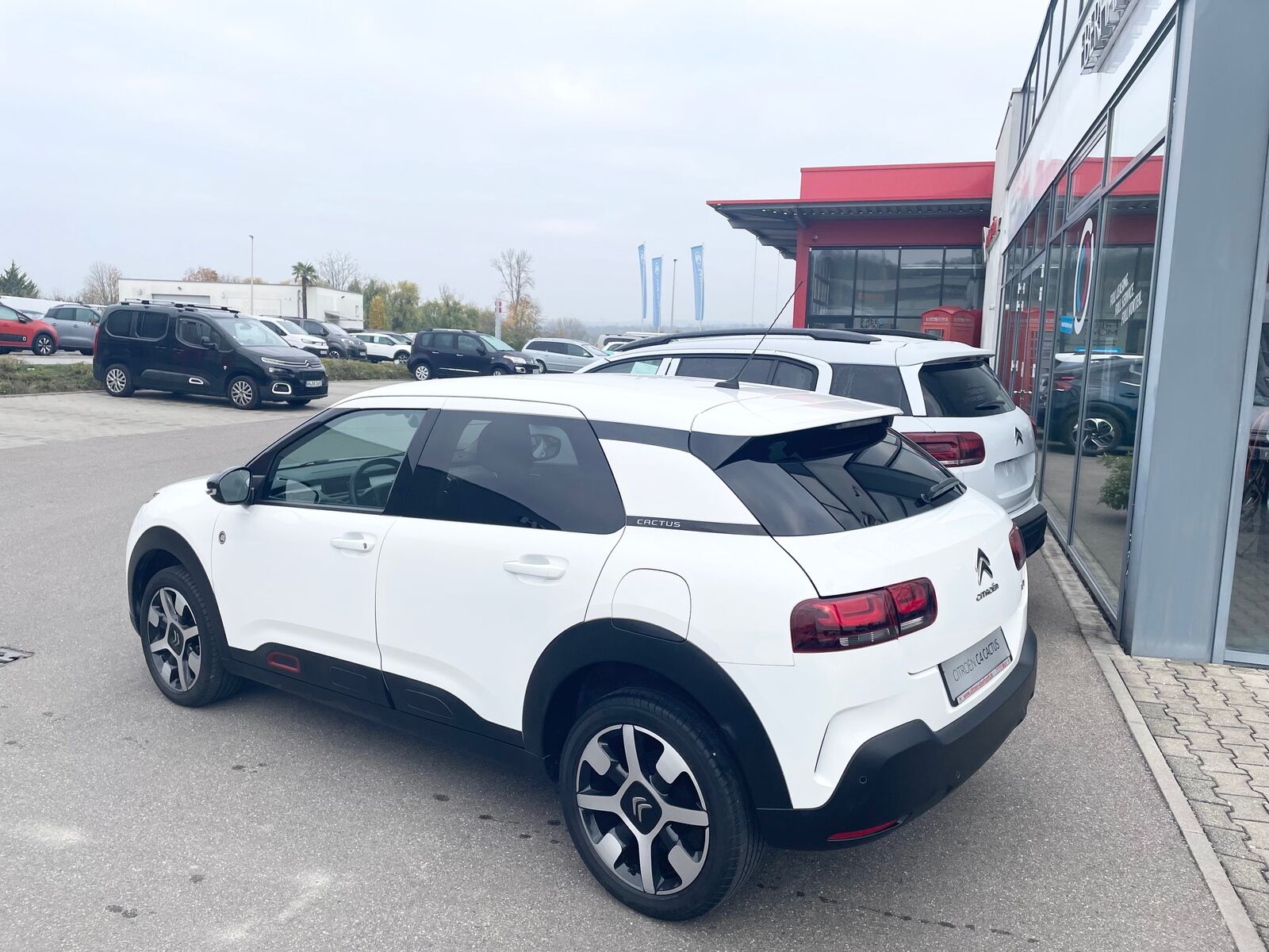 CITROEN C4 Cactus Pure Tech 110 Feel