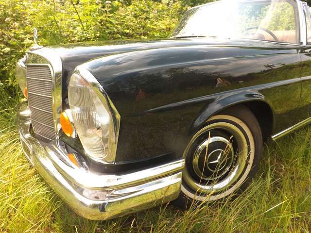 Mercedes-Benz 250 SE Cabrio und? - Familienzuwachs gefällig?