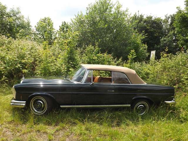 Mercedes-Benz 250 SE Cabrio und? - Familienzuwachs gefällig?