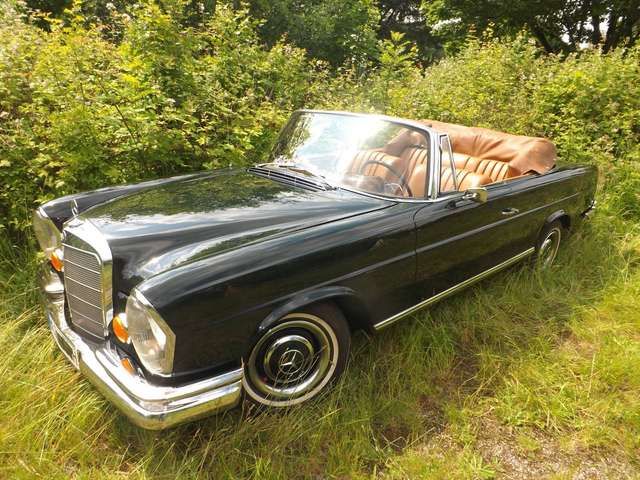 Mercedes-Benz 250 SE Cabrio und? - Familienzuwachs gefällig?