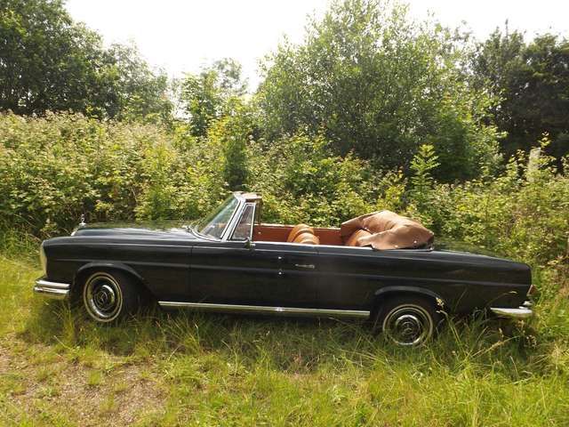 Mercedes-Benz 250 SE Cabrio und? - Familienzuwachs gefällig?