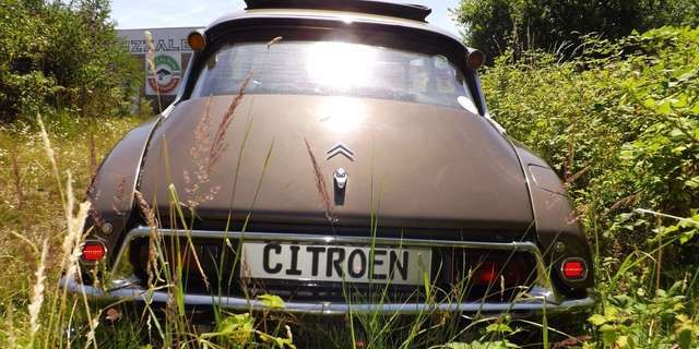 Citroen DS "Göttin" - "himmlisch" und sogar mit Faltdach