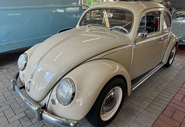 VW Käfer