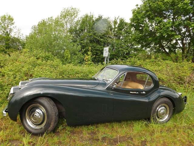 Jaguar XK 120 - die Superkatze!