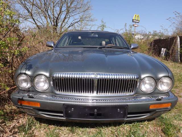 Jaguar Daimler Eight  X300 perfekt, edel und schön!