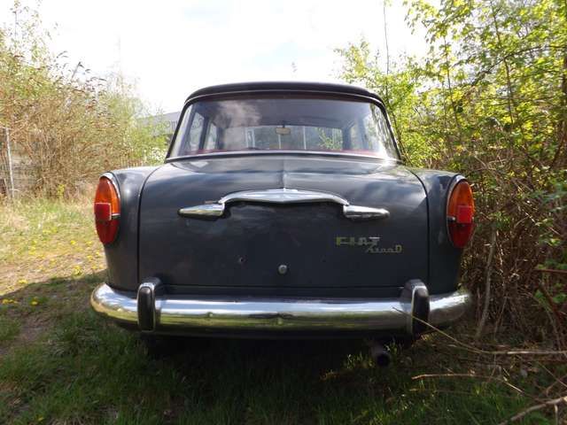 Fiat Sonstige 1100-kleines italienisches Auto ganz groß !