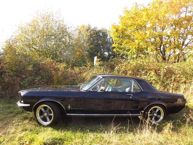 Ford Mustang Coupe, eins der Allerbesten, wie neu !