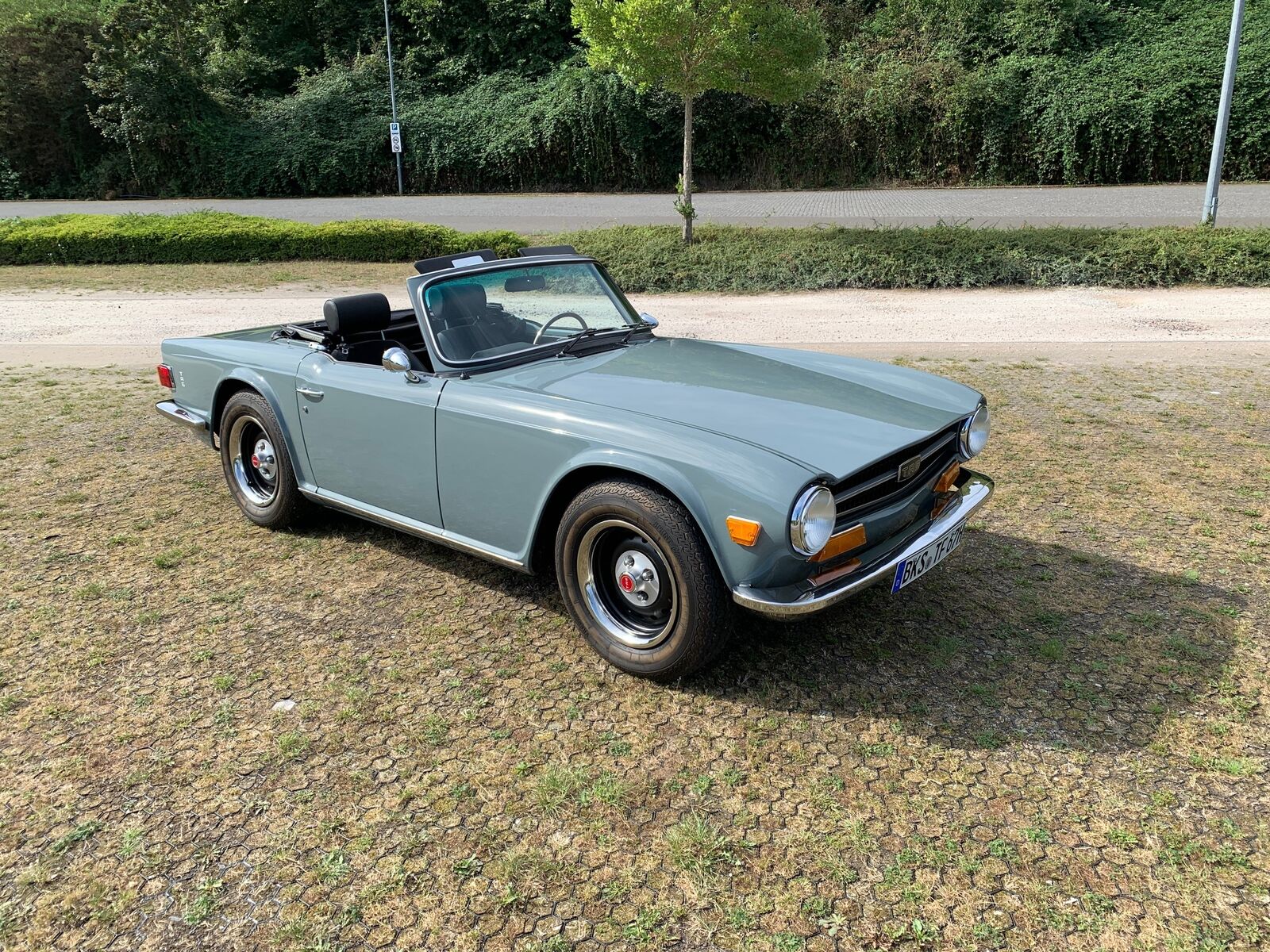 Triumph TR6