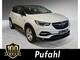 Opel im Gebrauchtwagen-Automarkt